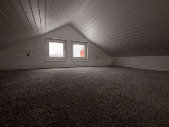 Cabin with loft