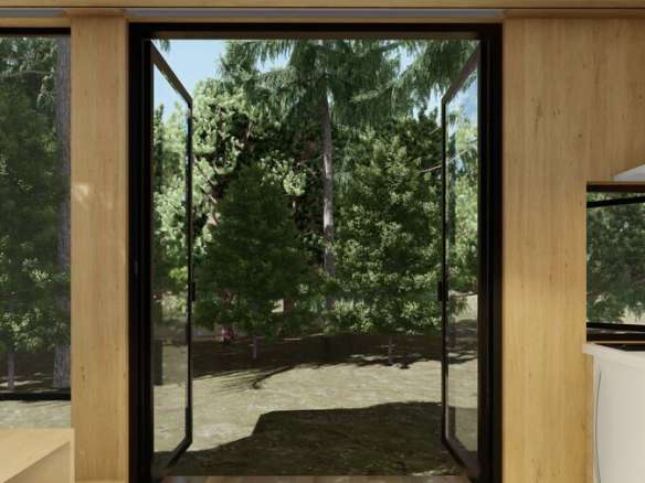 Betula