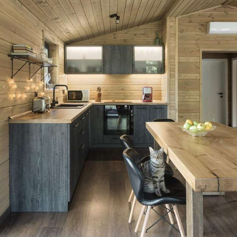 Scandi 4+
