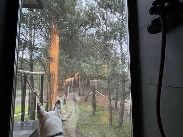 Imagine: un hotel invisibile su ruote