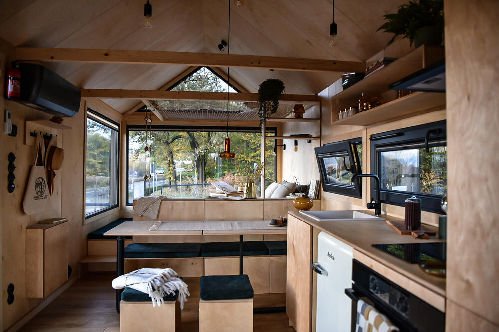 aurora-company-julia-01