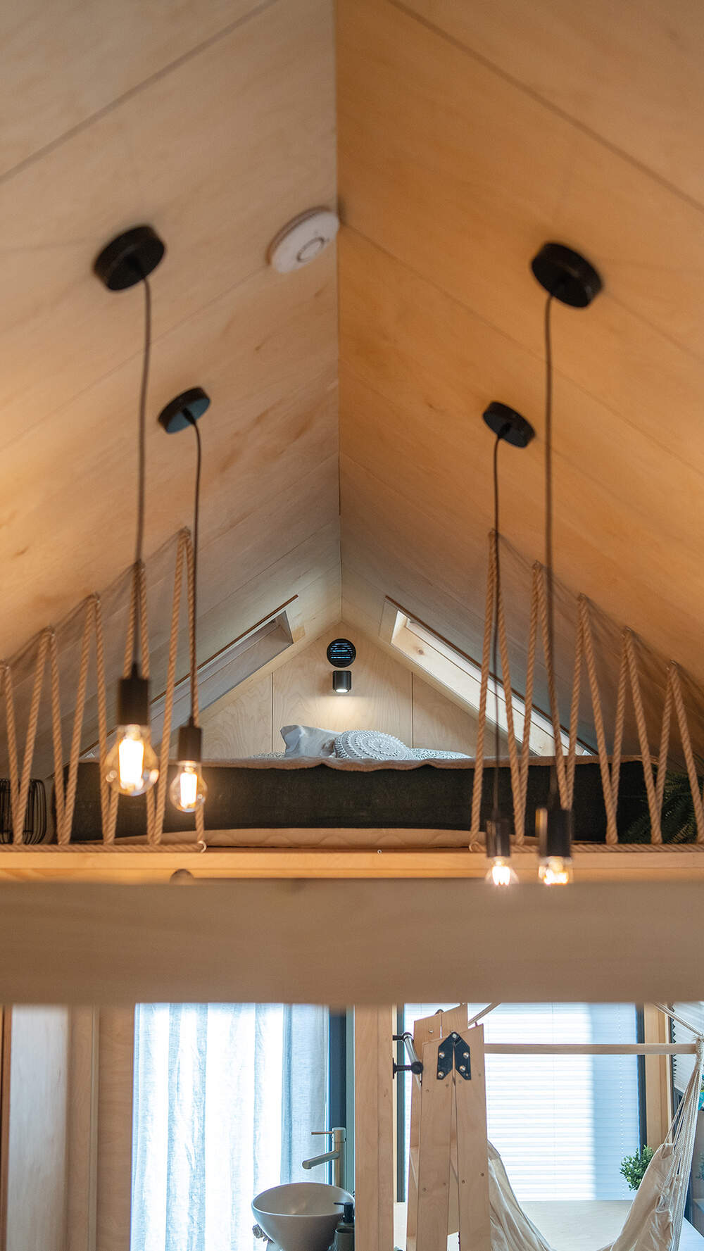 aurora-company-julia-10